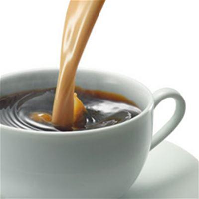Sinh Đôi Quán Cafe