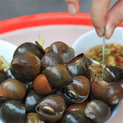 Ốc Hà Trang – Đinh Liệt