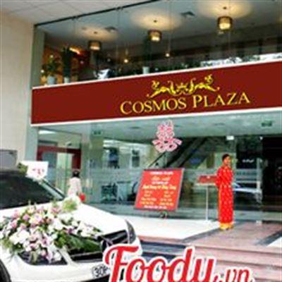 Cosmos Plaza