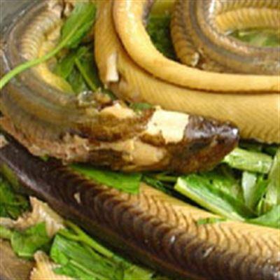 Lươn Nghệ An – Nghi Tàm