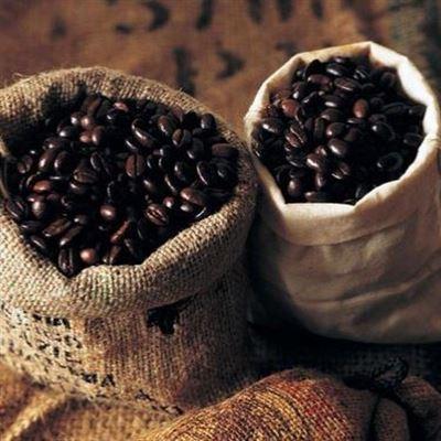 Phaduma Coffee