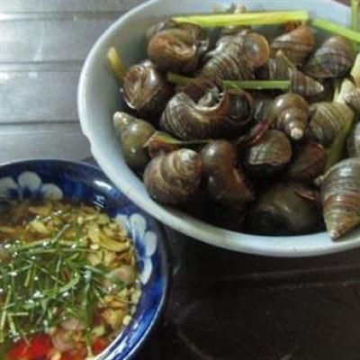 Hoa – Ốc Các Loại