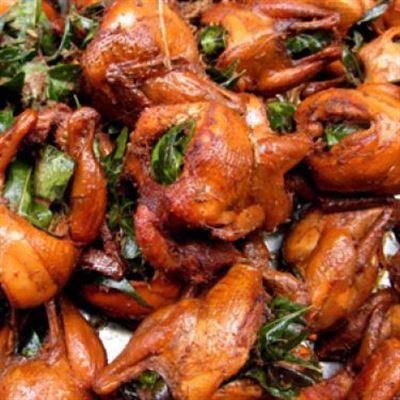 Long Mốc – Chim Quay Móc Mật