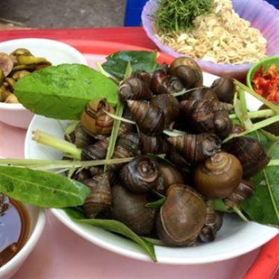 Ốc Thuỷ – Lửa Hồng