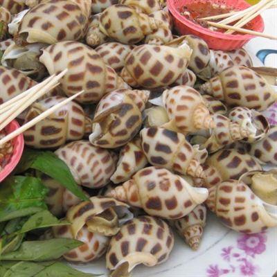 Ngõ Đài – Ốc