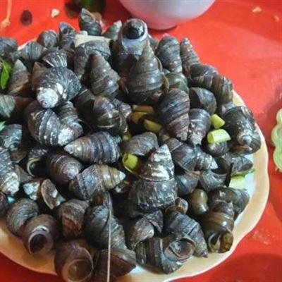 Ốc Quang Trung