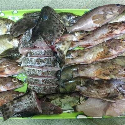 Quán Thương – Cá Lạp Xạp