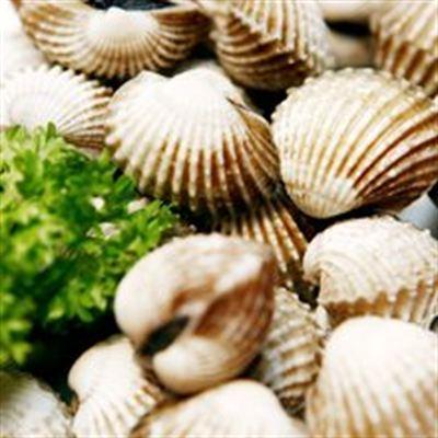 Quán Ốc 79 – Phạm Đình Hổ