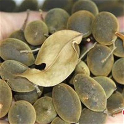 Say Tươi – Say Ngào