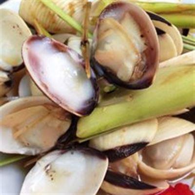 Ốc Chị Phụng – Trần Đình Xu