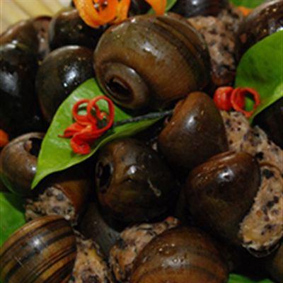 Ốc Miên – Tô Ký