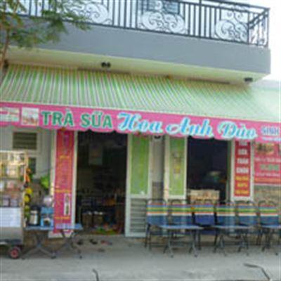 Hoa Anh Đào – Trà Sữa