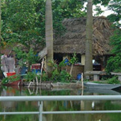 Trúc Phương – Câu cá Giải Trí