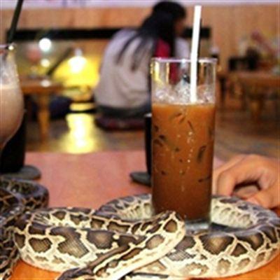 Ba Bo Cafe – Cafe Bò Sát – Hoa Phượng
