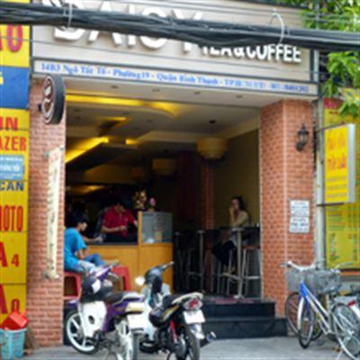 Daisy – Tea & Coffee – Ngô Tất Tố