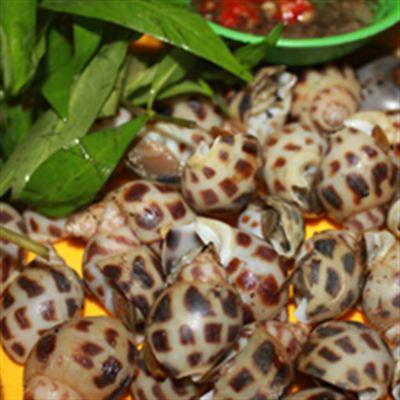 Quán Ốc 626A – Âu Cơ