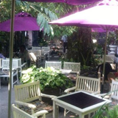 Bằng Lăng Tím Cafe – Phan Huy Ích