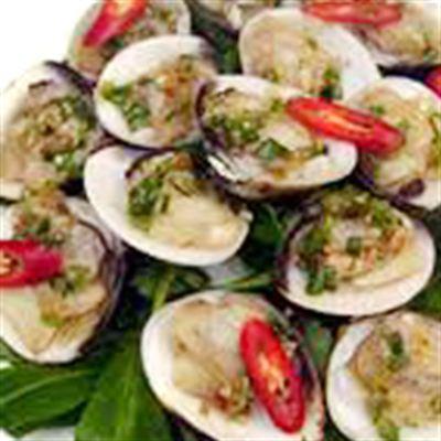 Ốc Những Người Bạn