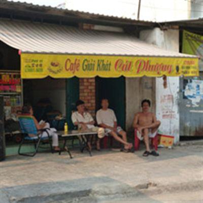 Cát Phượng – Bùi Minh Trực