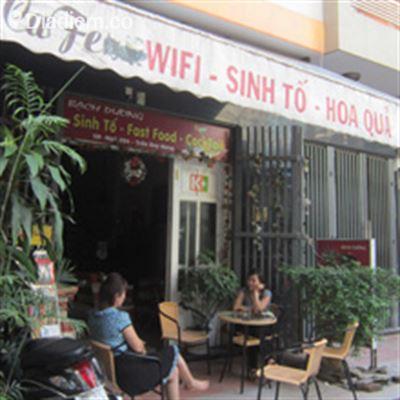 Bạch Dương Cafe – Trần Duy Hưng