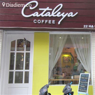 Cataleya Coffee – Hạ Hồi