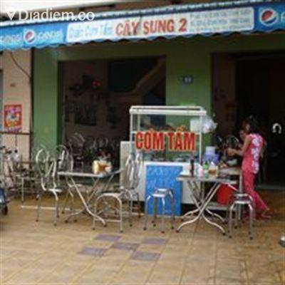 Cây Sung 2 – Cơm Tấm