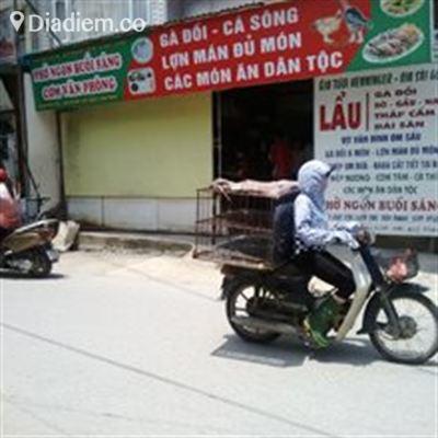 Hải Hiệu