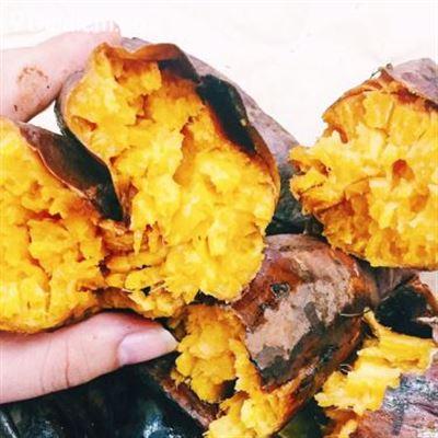 Khoai Lang Mật Đà Lạt – Phan Bội Châu