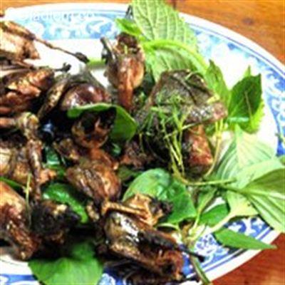 Út Mới 236