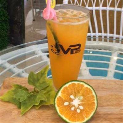VPLand Coffee