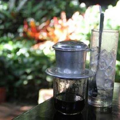 Vườn Cao Coffee