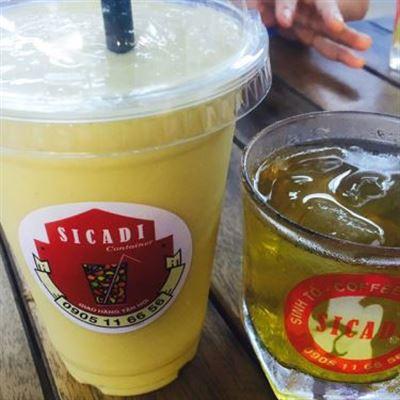 Sicadi Container – Sinh Tố & Nước Ép