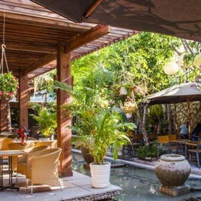 Coconut Cafe