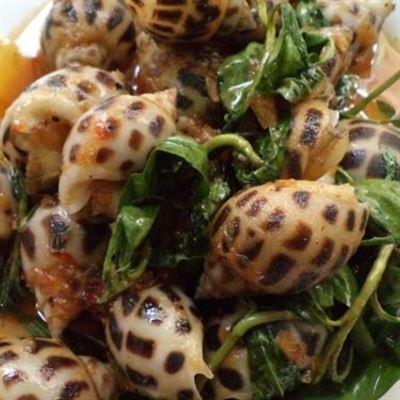 Ốc Thùy Dung – Phạm Văn Thuận