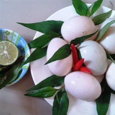 Hột Vịt Lộn – Phan Đình Phùng