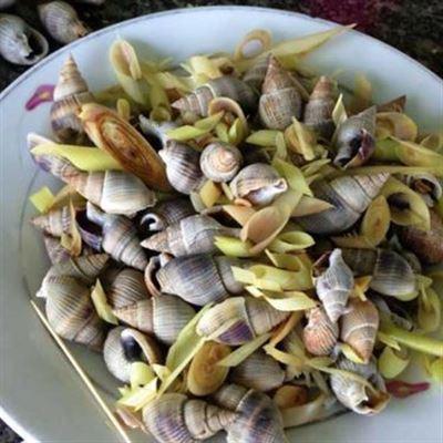 Ốc Đông Xuân – Tháp Bà