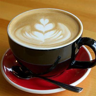 Tin Cafe – Tống Văn Sương