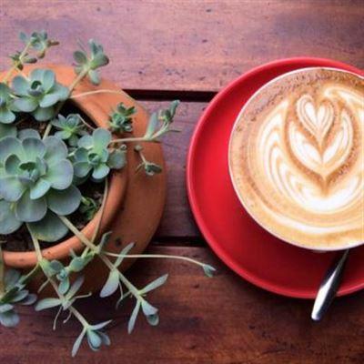 Phin Coffee – Espresso And Drip