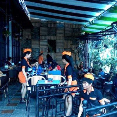 Fox Coffee