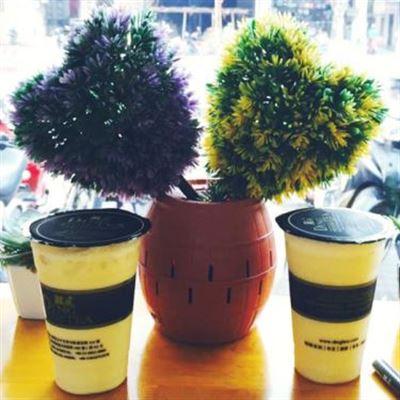 Dingtea Thái Bình