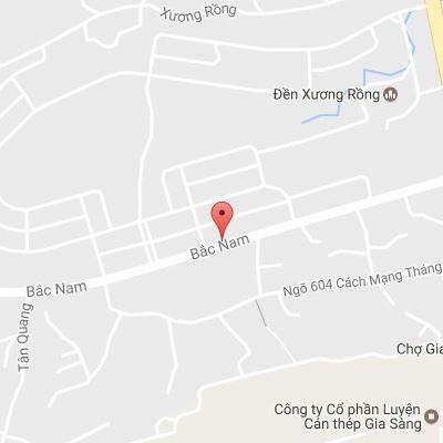 Cửa Hàng Chè Búp Tân Cương