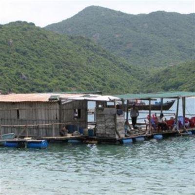 Nhà Bè Như Ý – Hải Sản Tươi Sống