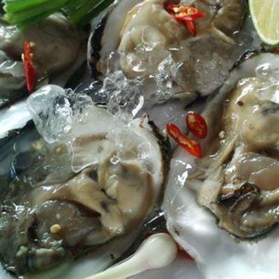 Hàu Tươi Sống – Triệu Việt Vương