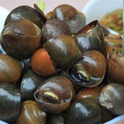 Quán Ốc Phúc An – Lê Văn Phẩm