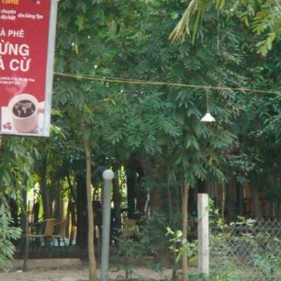 Rừng Xà Cừ Cafe