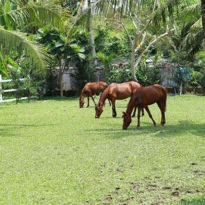 Happy Farm Tiền Giang