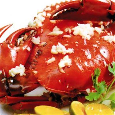 Chí Tâm Quán – Tỉnh Lộ 913