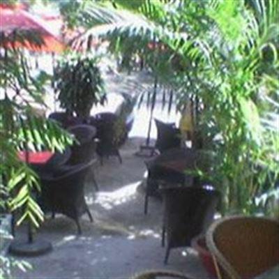 Cây Nhãn Cafe