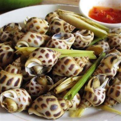 Quán Ốc Đêm