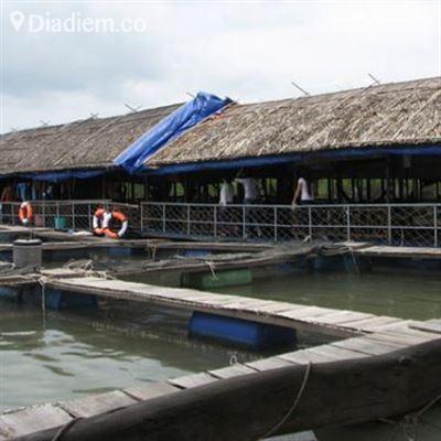 Bè Hào Đực Nhỏ Long Sơn – Hải Sản Tươi Sống